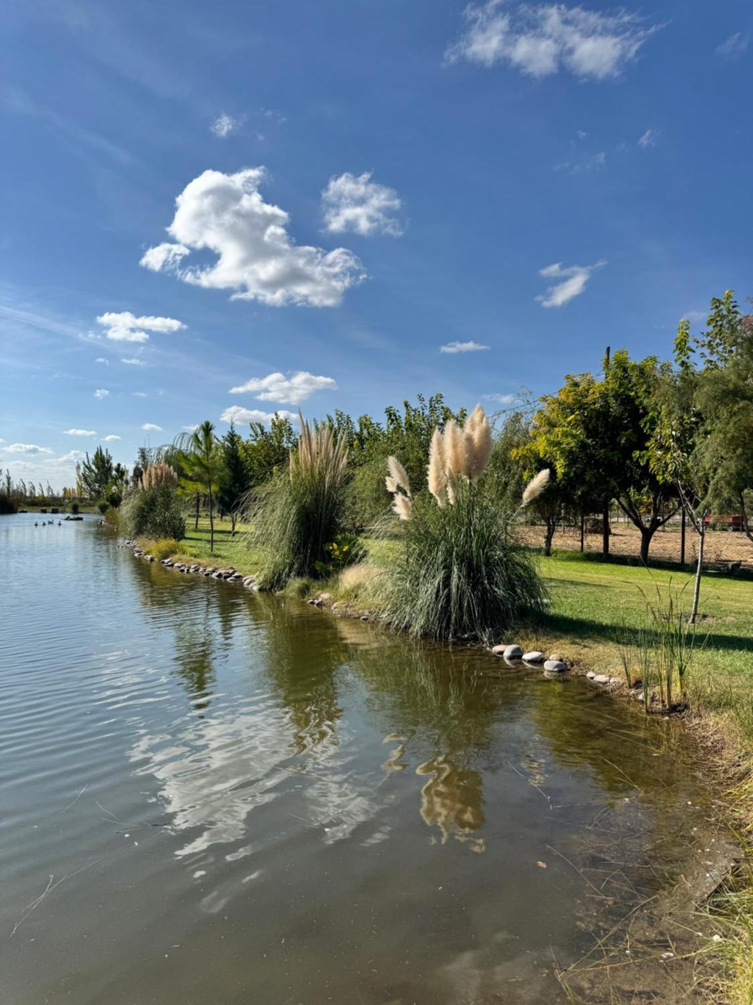 Complejo Koi Apartment General Alvear  Bagian luar foto